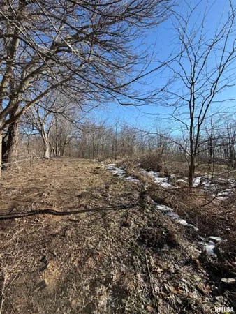 $489,900 | 14552 Highway 100, Browning, IL 62624