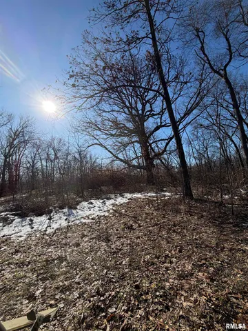 $499,900 | 14552 Highway 100, Browning, IL 62624