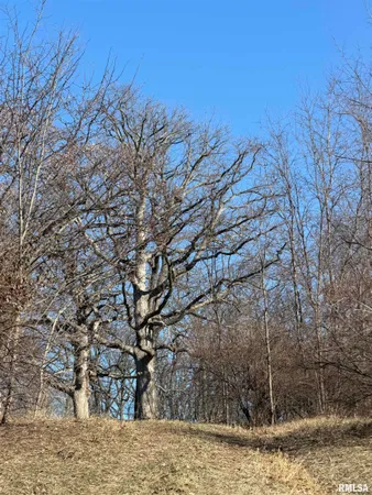 $489,900 | 14552 Highway 100, Browning, IL 62624