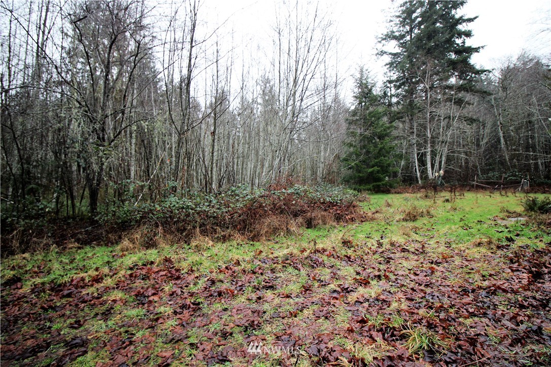3457 Southeast Bloomfield Road Shelton, WA 98584 - Photo 19 of 23 Gallery Image 19