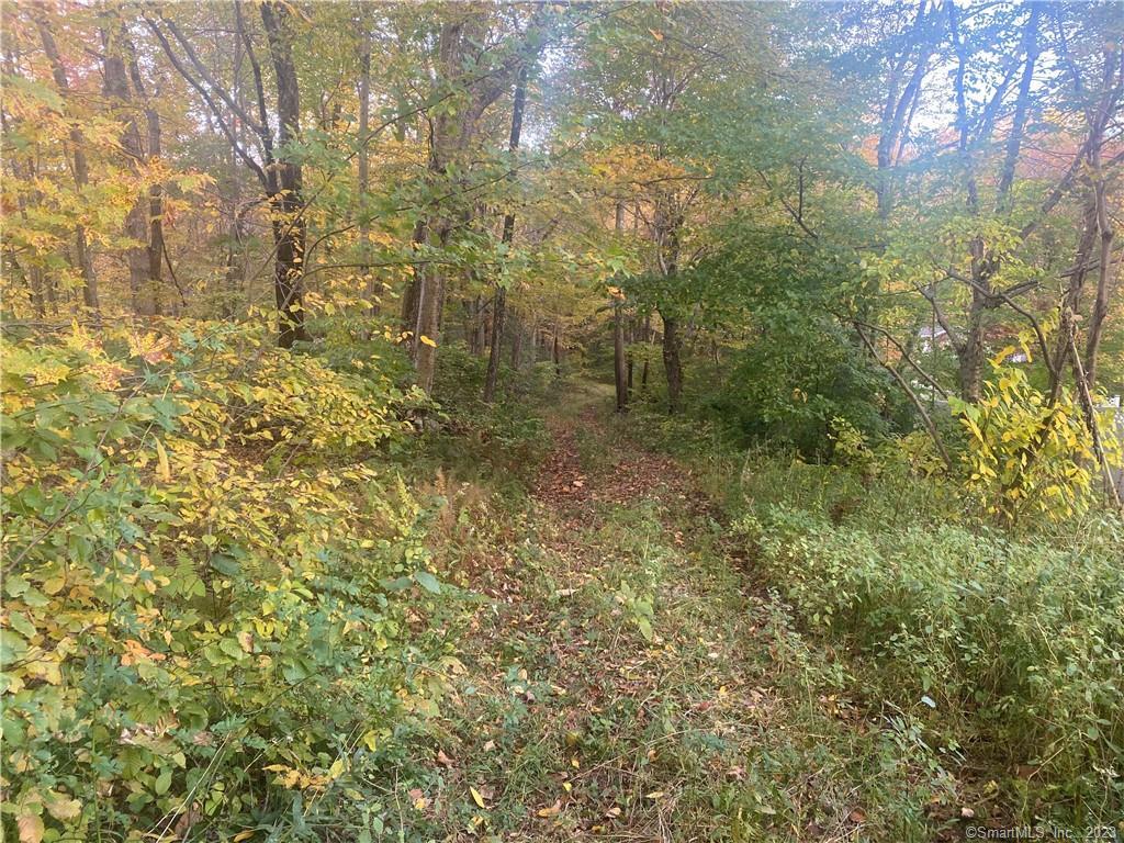 Lot 6 Midwood Farm Road East Hampton, CT 06424 - Photo 1 of 1 Gallery Image 1