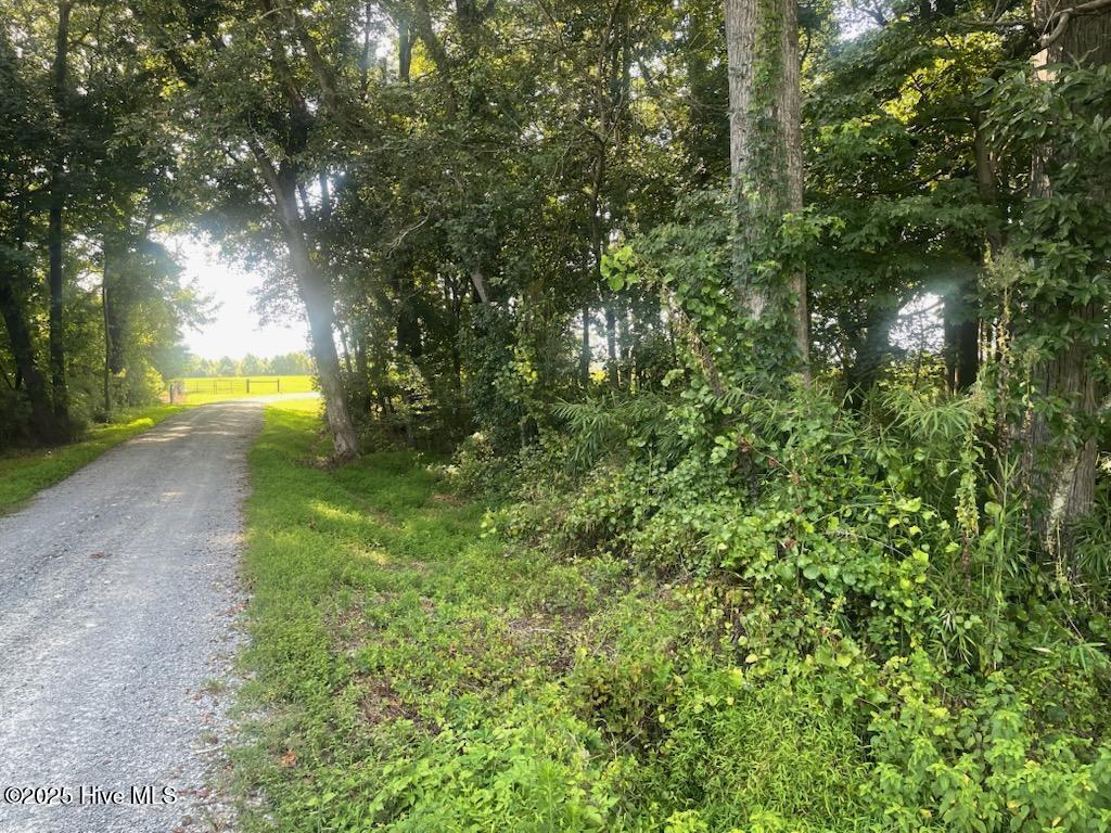 0 Hill Road Smithfield, NC 27577 - Photo 3 of 15 IMG954430