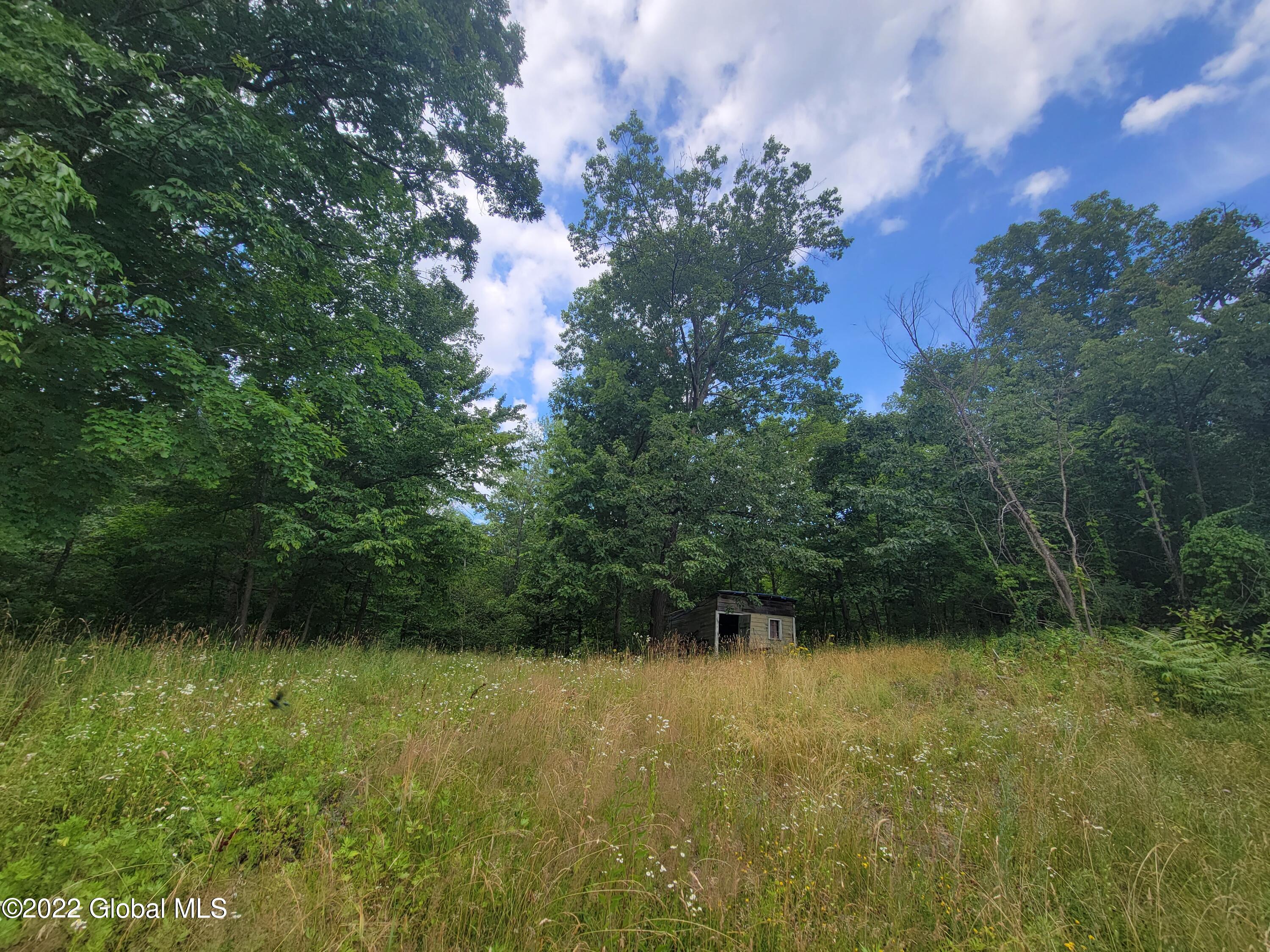9071 Rte 9W, Unit LOT 1 Athens, NY 12015 - Photo 15 of 33 20220708_110813