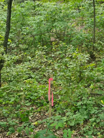 $74,900 | Tbd Tract C Tbd Tract C Richfield Road Southwest, Baxter, MN 56425