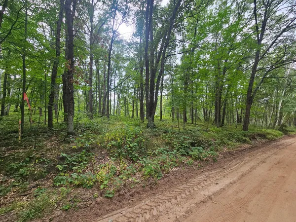 $74,900 | Tbd Tract C Tbd Tract C Richfield Road Southwest, Baxter, MN 56425