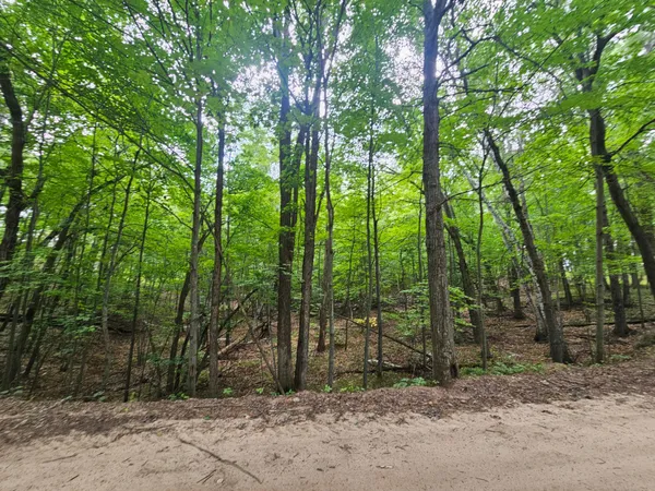 $74,900 | Tbd Tract C Tbd Tract C Richfield Road Southwest, Baxter, MN 56425