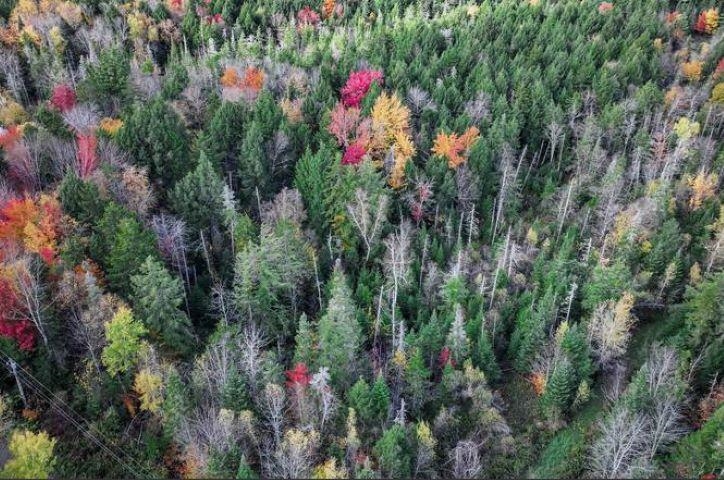 1021 Woods Road Warren, VT 05674 - Photo 16 of 24