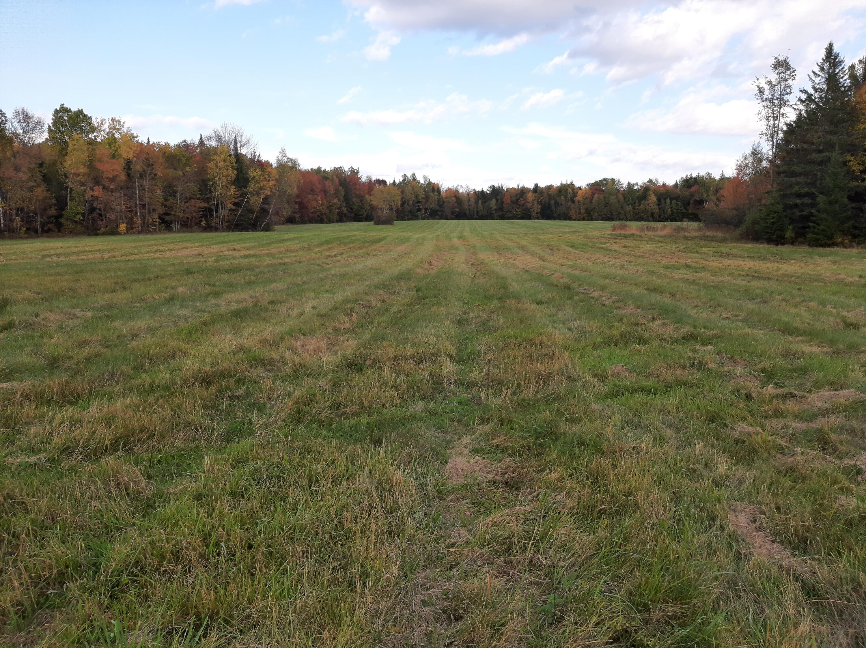 Back field in fall