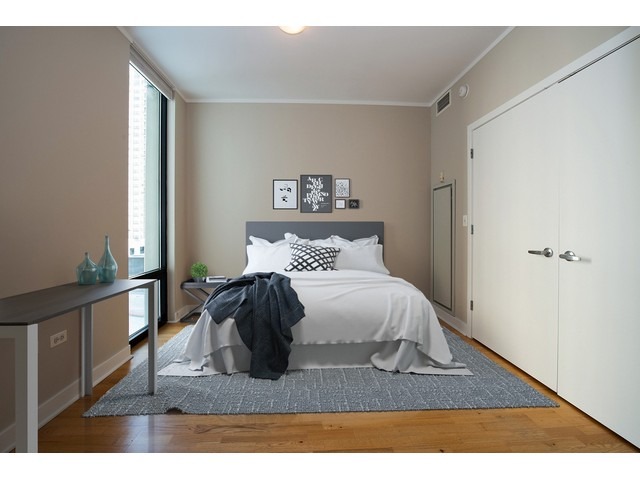 744 North Clark Street, Unit 502 Chicago, IL 60654 - Photo 11 of 12
