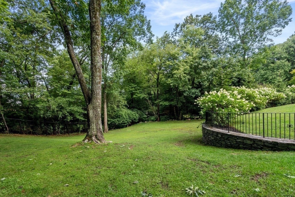 11 Nantucket Road Wellesley, MA 02481 - Photo 22 of 23 a view of a garden with a tree