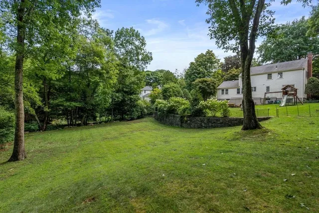 a view of a yard with a tree