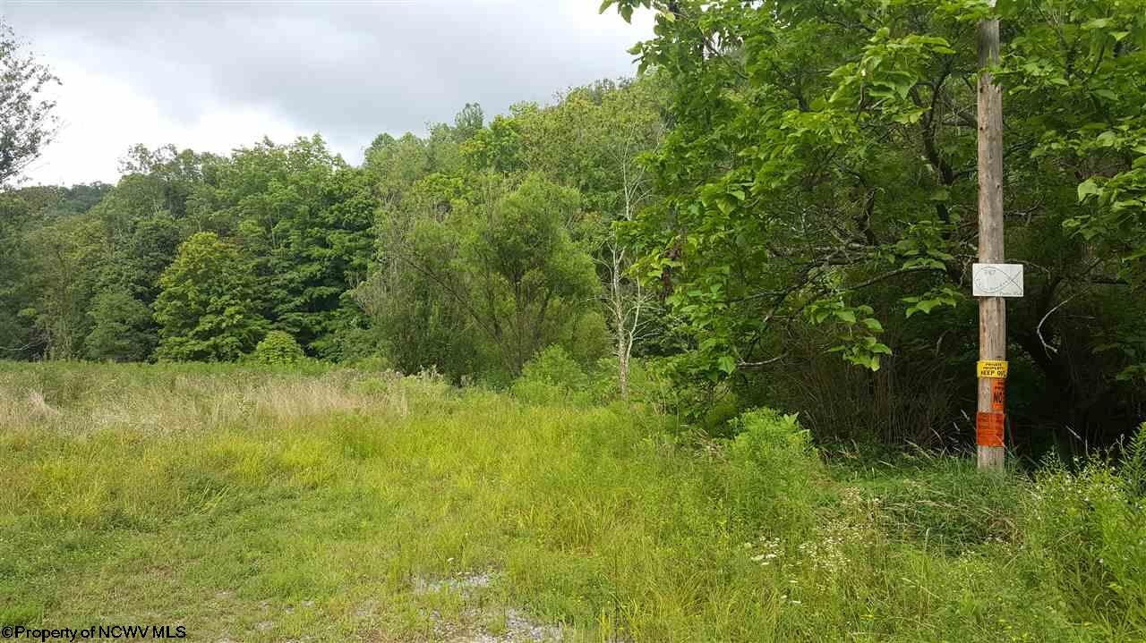 947 Statler Run Road Fairview, WV 26570 - Photo 8 of 9 Gallery Image 8
