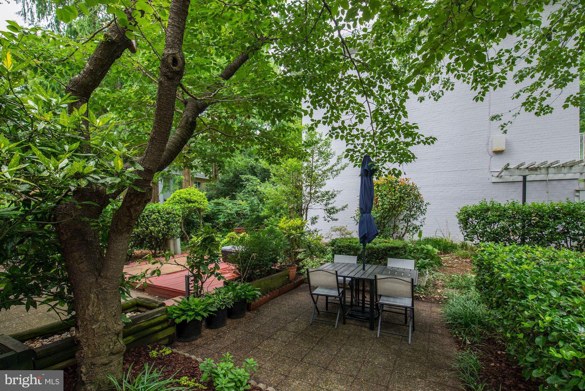 703 3rd Street Southwest, Unit 602 Washington, DC 20024 - Photo 21 of 30 Back Yard