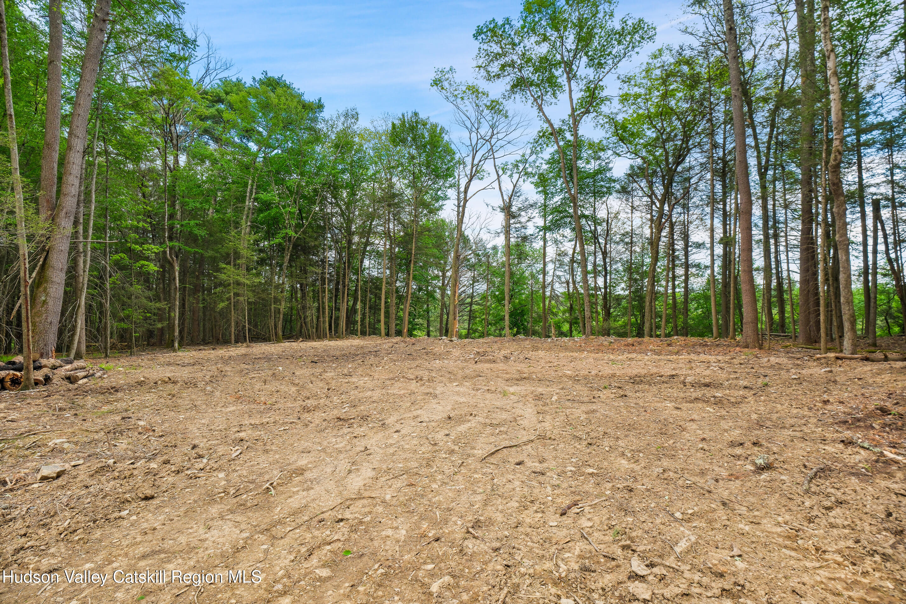 209 Beaverkill Road Kingston, NY 12401 - Photo 35 of 44 DSCF0219_1