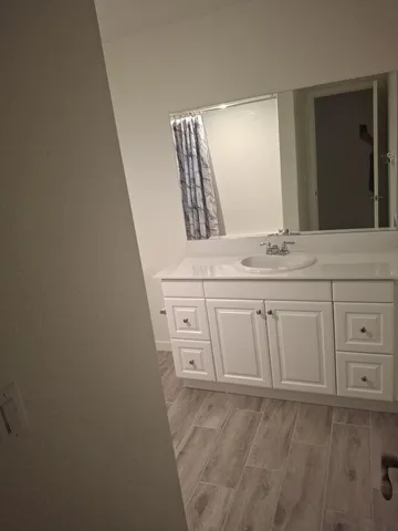 a bathroom with a sink a mirror and a shower