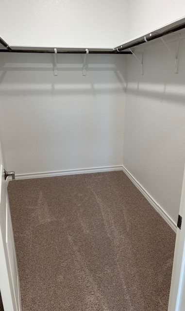 125 Watkinville Road Hutto, TX 78634 - Photo 10 of 17 a view of a room with shelf