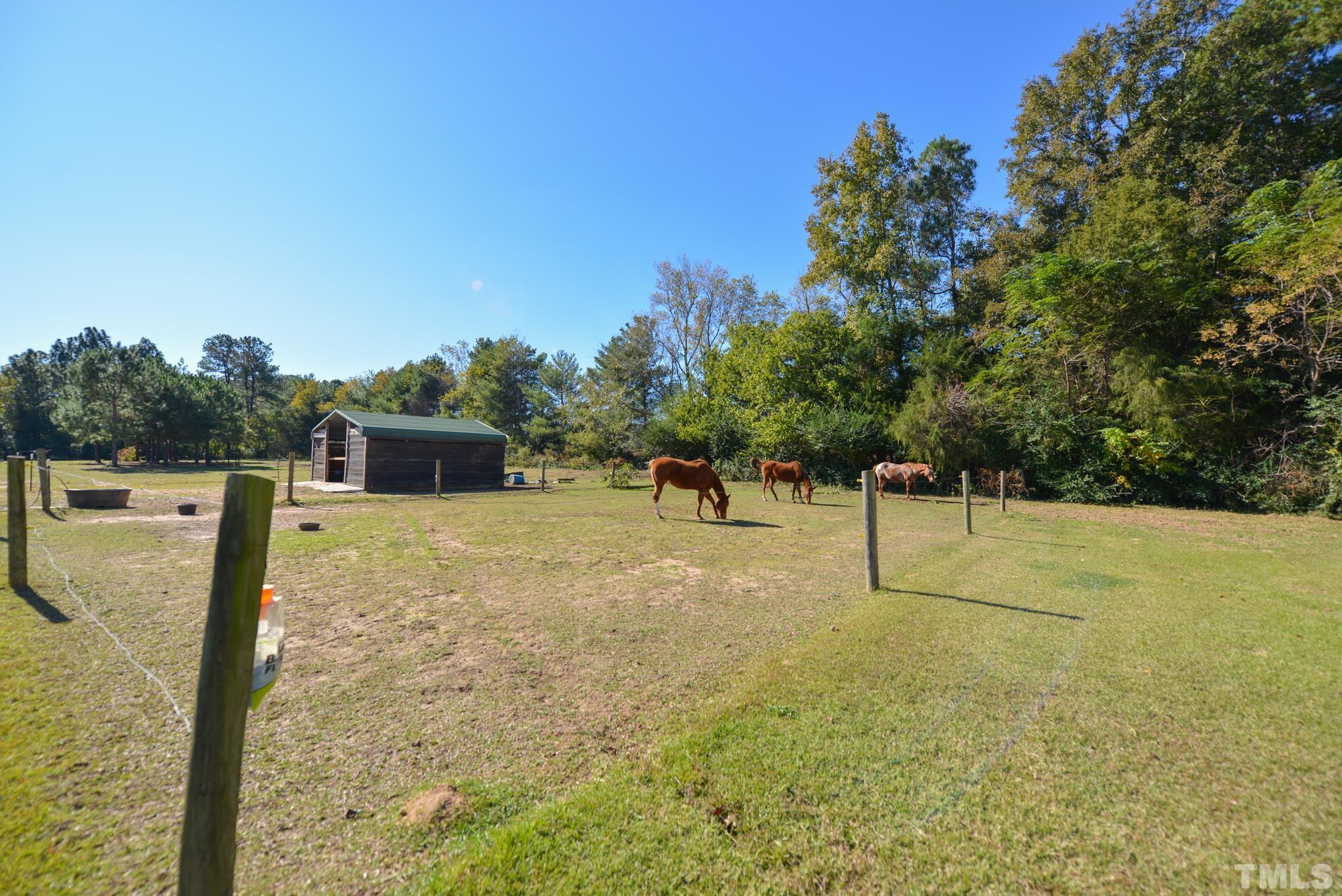 7657 G High Road Sims, NC 27880 - Photo 22 of 27 a view of a yard with a tree