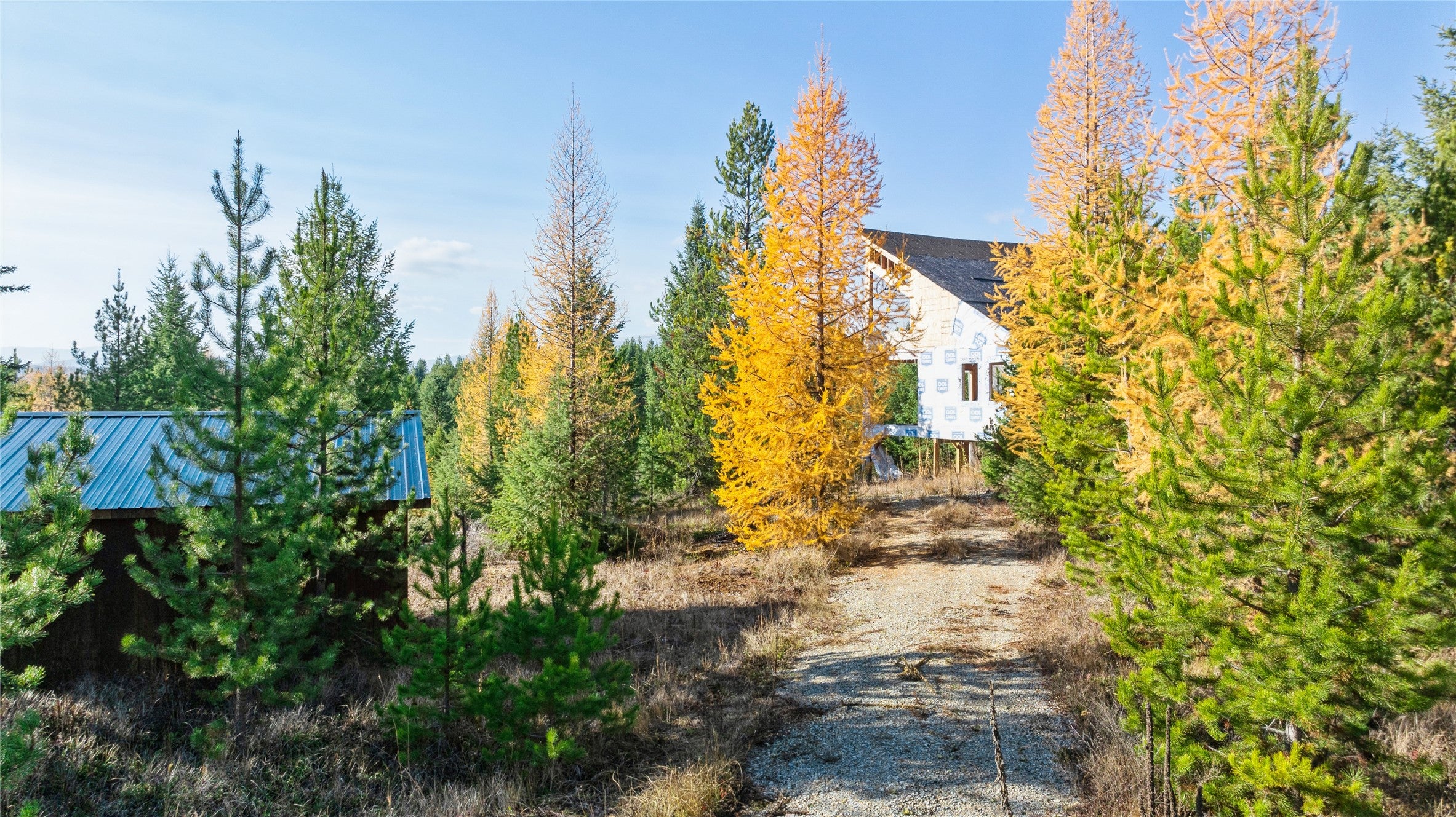 226 Lupfer Road Olney, MT 59927 - Photo 14 of 16 Driveway is roughed in to the guest house and shed