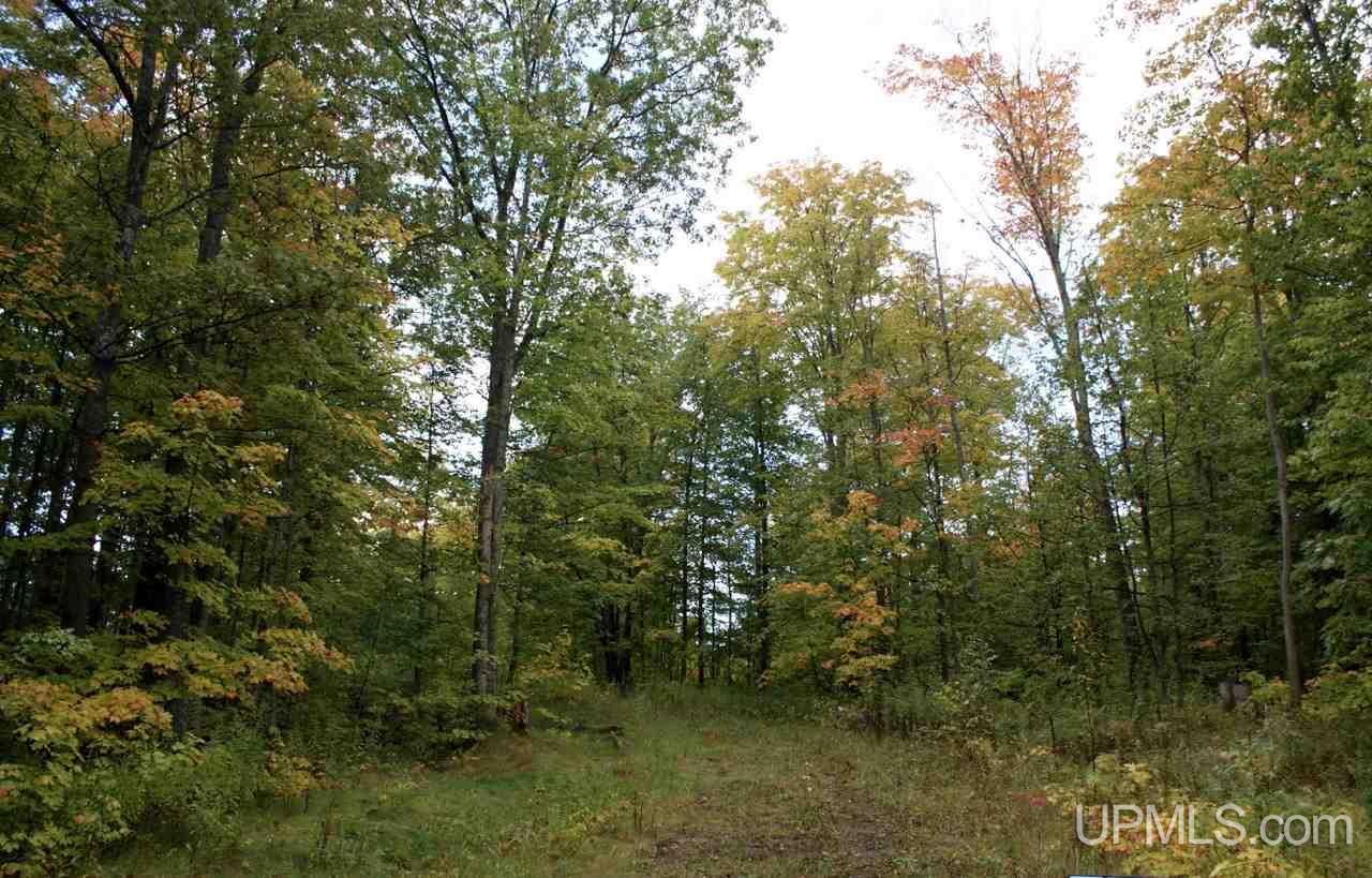 33 Makinen Road Jl Road Negaunee, MI 49866 - Photo 2 of 11