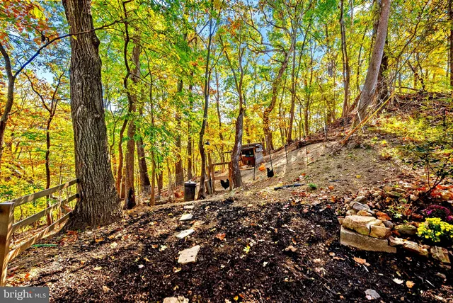 a backyard of a house with lots of green space