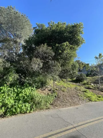 a view of a yard with plants
