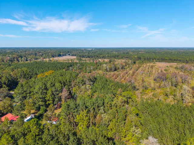 $15,000 | 905 Peurifoy Road, Walterboro, SC 29488