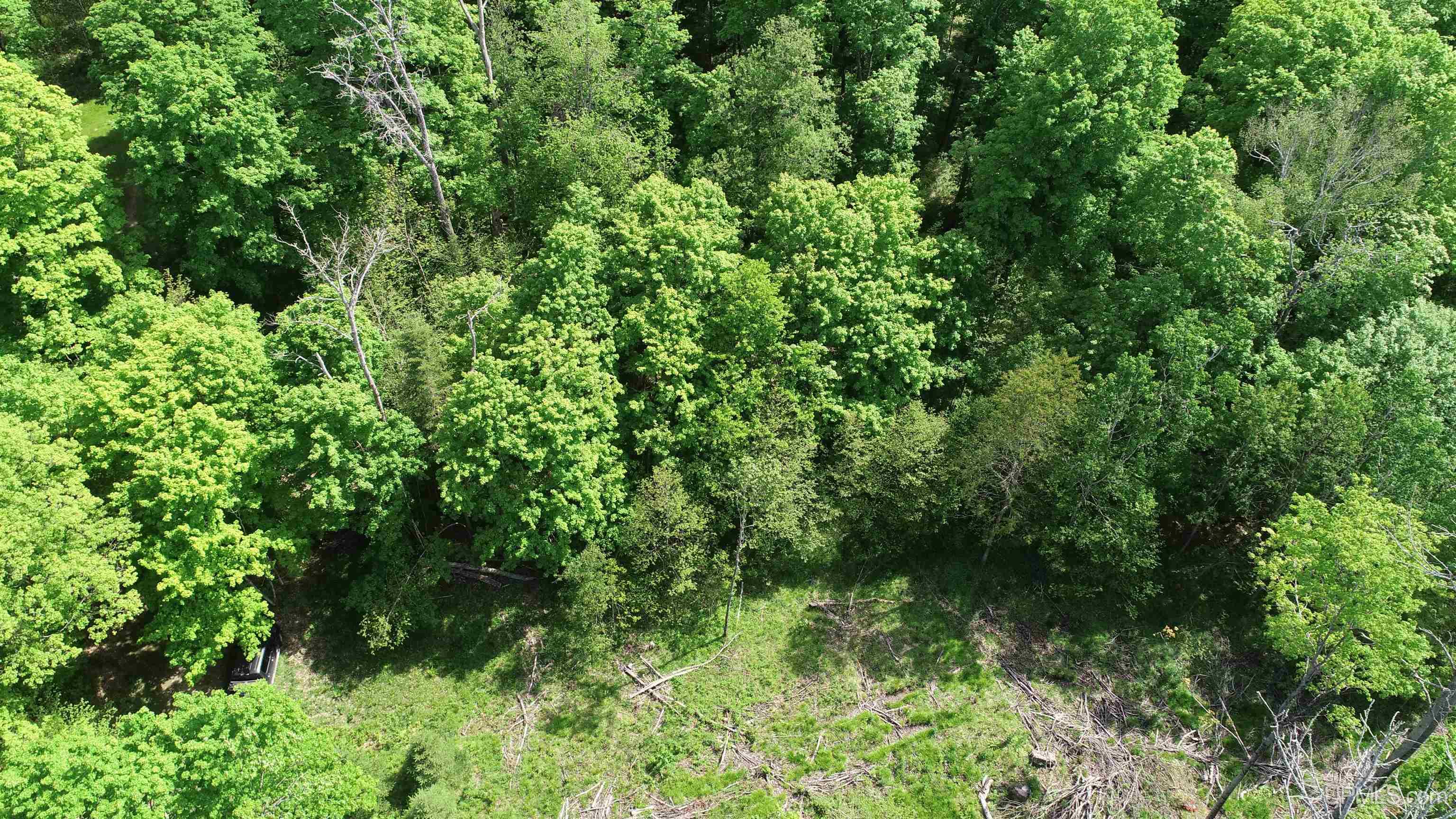 Tbd Tbd Banking Ground Road Germfask, MI 49836 - Photo 5 of 36
