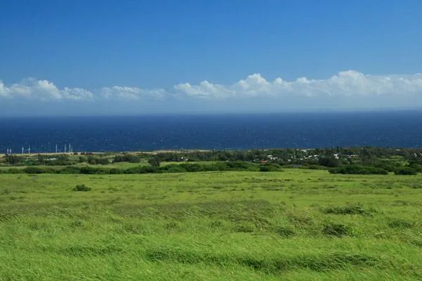 a view of a green field