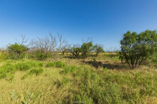 a view of a lake with a tree in the background