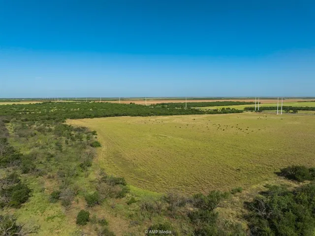 a view of an ocean from a beach