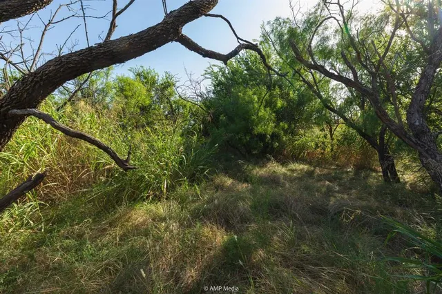 a backyard of a house with lots of green space and plants