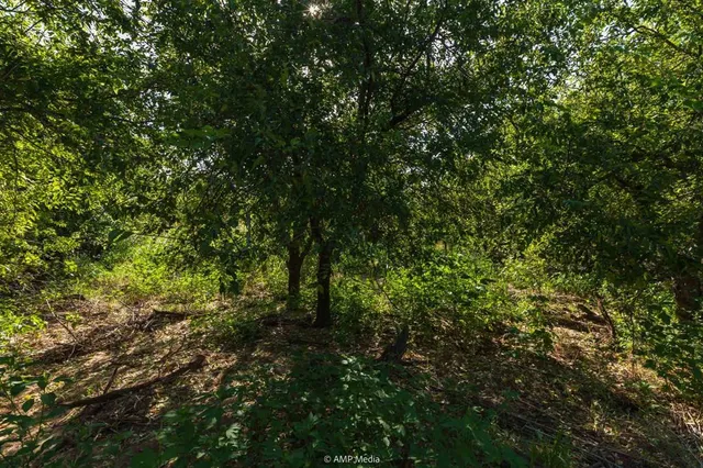 $294,750 | 2046 Farm To Market 126, Hamlin, TX 79520