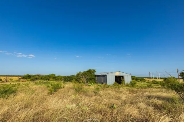 a yellow room with a yard