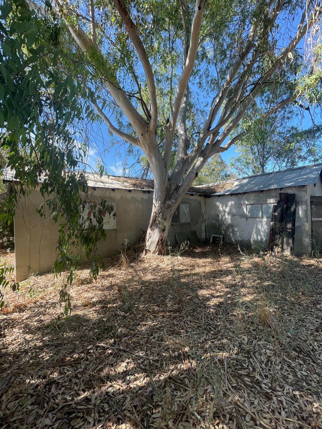 0 9th Street Williams, CA 95987 - Photo 7 of 9