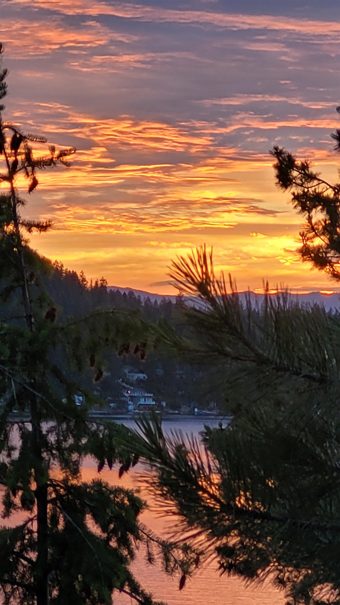 46762 Larson Beach Road Loon Lake, WA 99148 - Photo 3 of 49