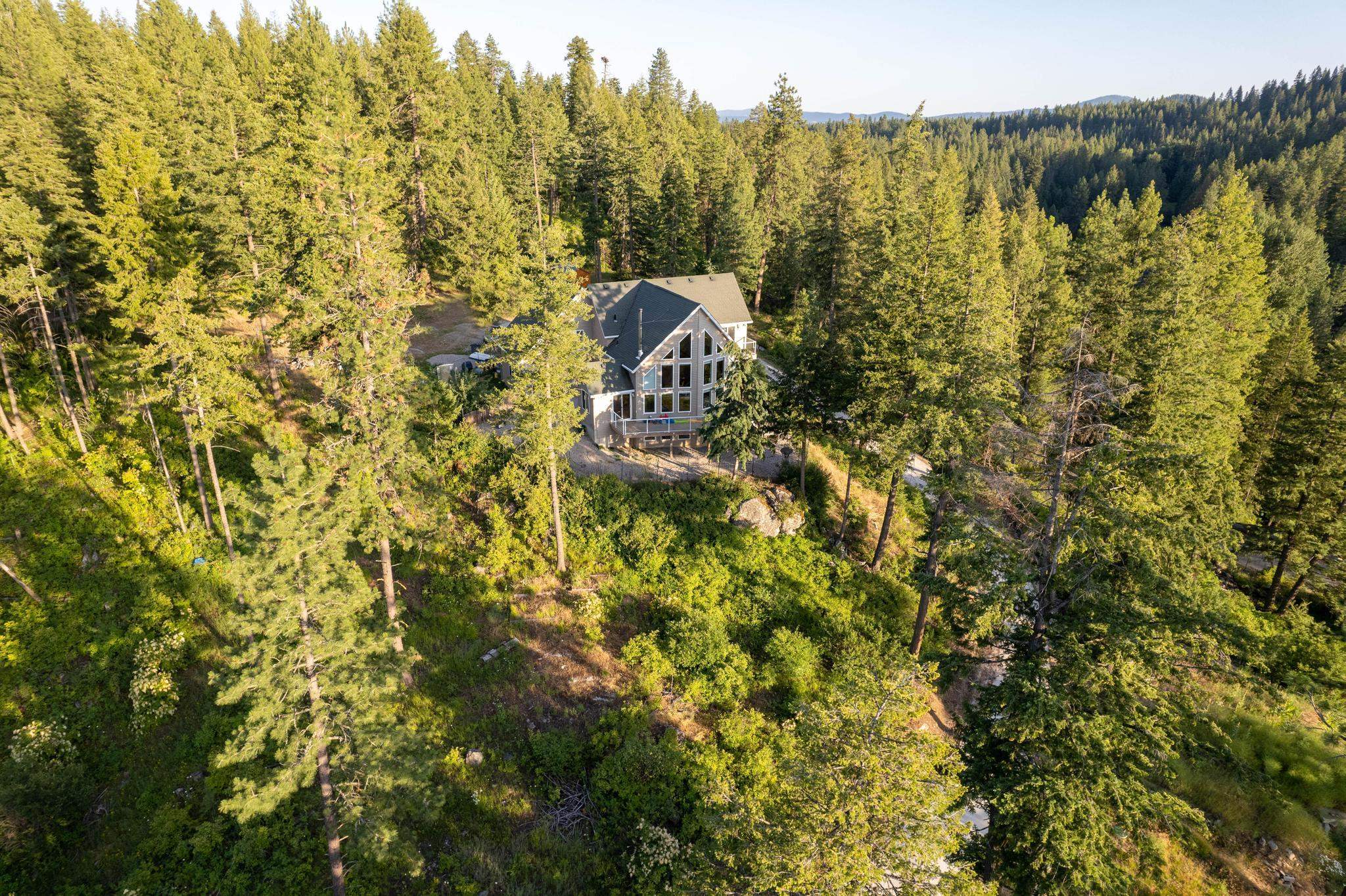 46762 Larson Beach Road Loon Lake, WA 99148 - Photo 4 of 49