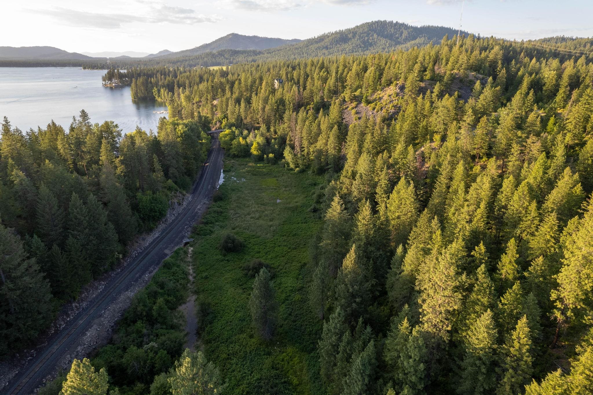 46762 Larson Beach Road Loon Lake, WA 99148 - Photo 44 of 49