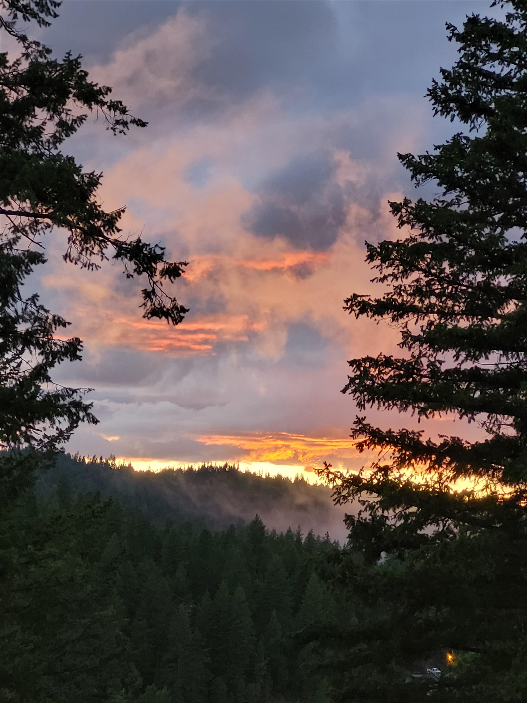 46762 Larson Beach Road Loon Lake, WA 99148 - Photo 48 of 49