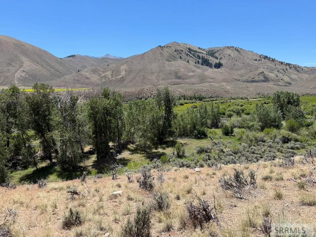 Tbd East Tbd E Fork Road Clayton, ID 83227 - Photo 27 of 28