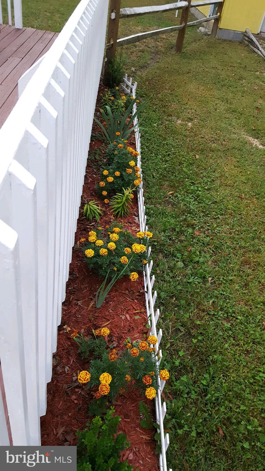 31459 Railway Road Ocean View, DE 19970 - Photo 34 of 37 Spring flowers