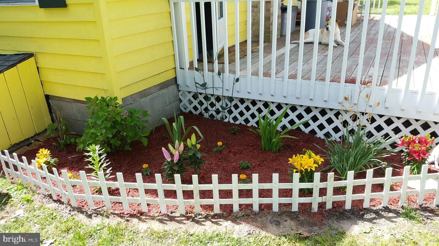31459 Railway Road Ocean View, DE 19970 - Photo 35 of 37 more Spring flowers