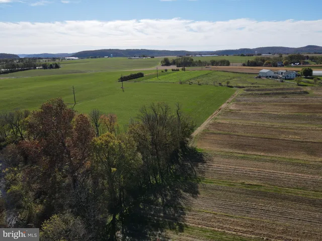 a view of a field with an ocean