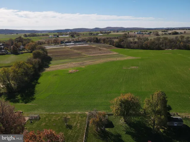 a view of a town with large trees