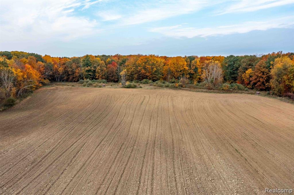 0 Wood Road Marlette, MI 48453 - Photo 15 of 20