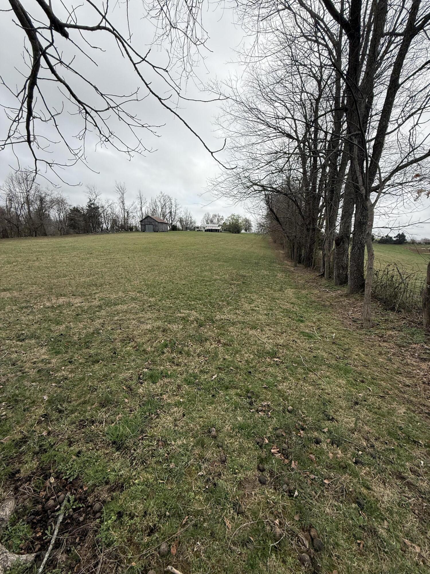 230 Johnson Road Waynesburg, KY 40489 - Photo 67 of 71 IMG_1879