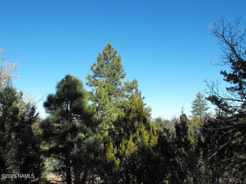 5247 Sunset Ridge Loop Happy Jack, AZ 86024 - Photo 17 of 18 a view of a tree with a tree in front of it