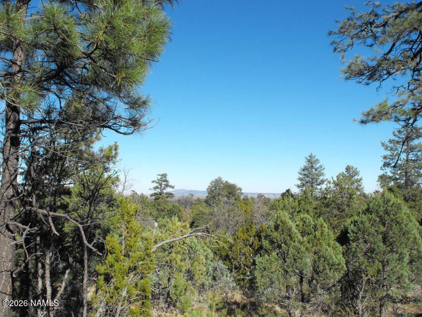 5247 Sunset Ridge Loop Happy Jack, AZ 86024 - Photo 2 of 18 a view of a tree in a field with a tree in the background