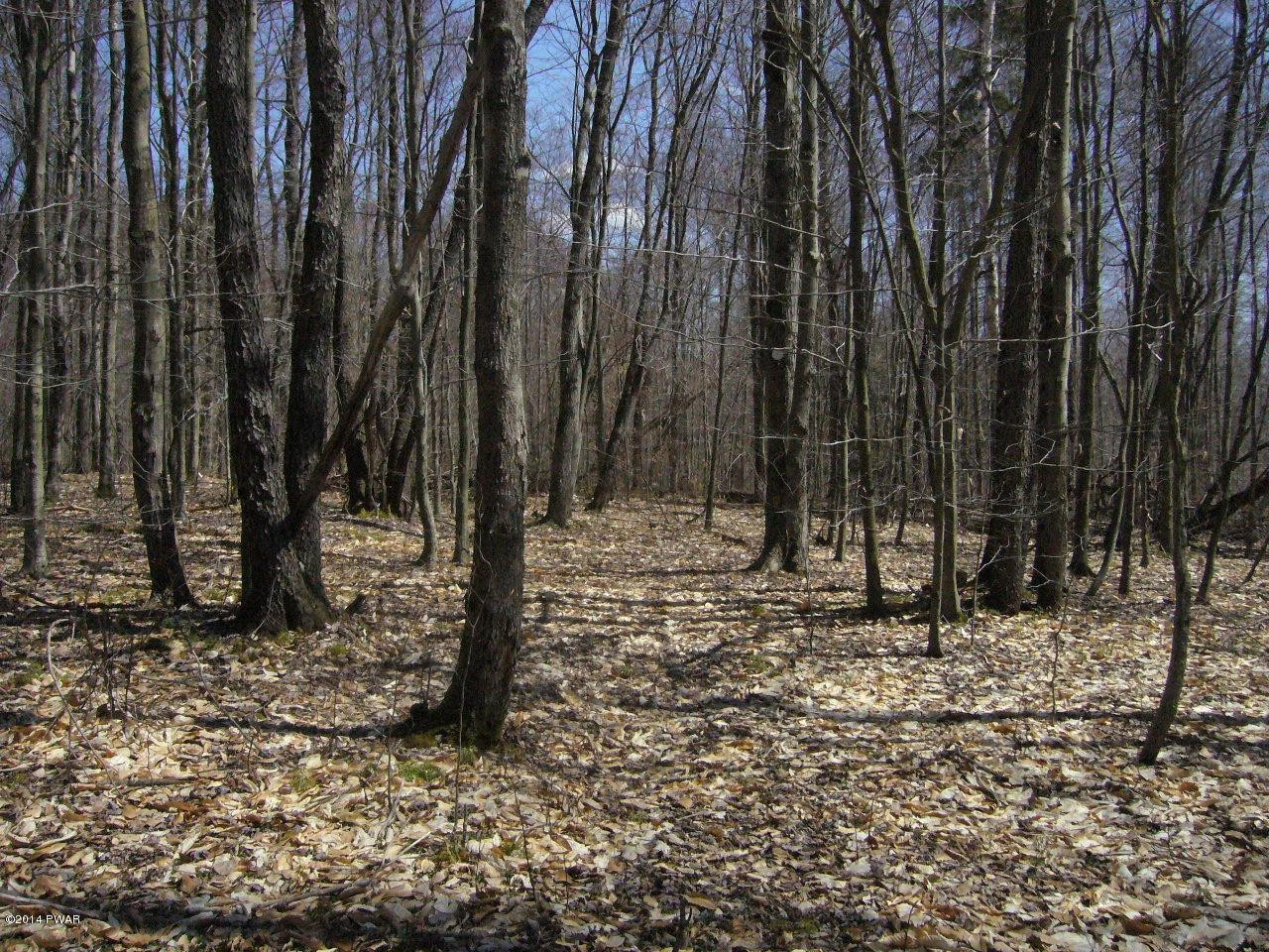 0 Dufton Hollow Road Hancock, NY 13783 - Photo 6 of 11