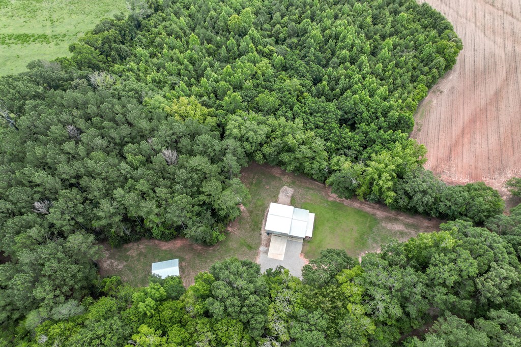 401 Macedonia Road Hartford, AL 36344 - Photo 23 of 61