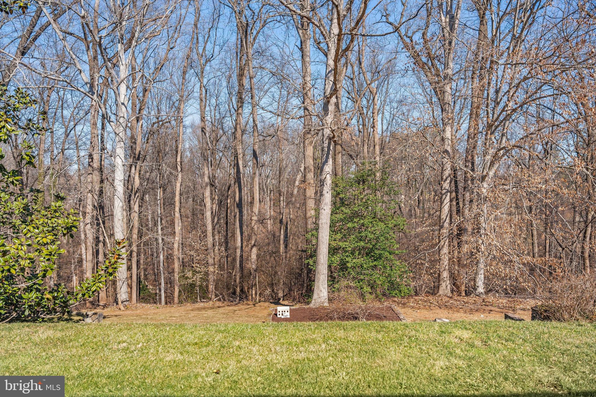 1402 Langley Place McLean, VA 22101 - Photo 43 of 46 Scenic and prviate views of woods